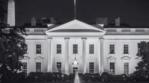 Black and white photo of the White House at night with lights illuminating the building and trees partially framing the scene